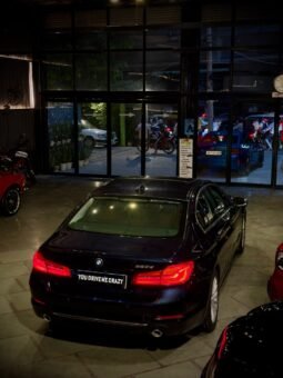 
										BMW 520d LUXURY LINE full									