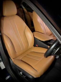 
										BMW 520d LUXURY LINE full									