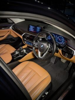 
										BMW 520d LUXURY LINE full									