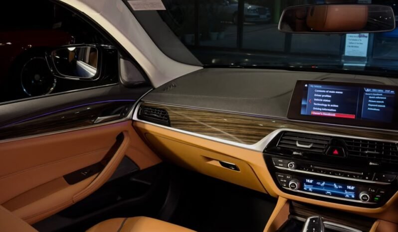 
								BMW 520d LUXURY LINE full									