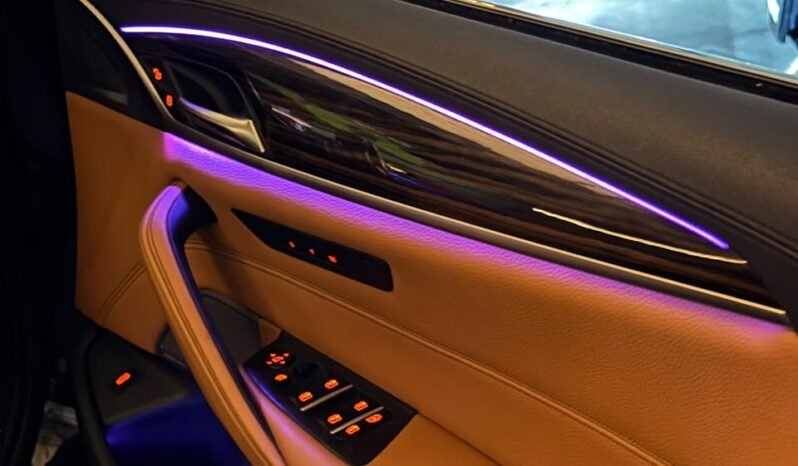 
								BMW 520d LUXURY LINE full									